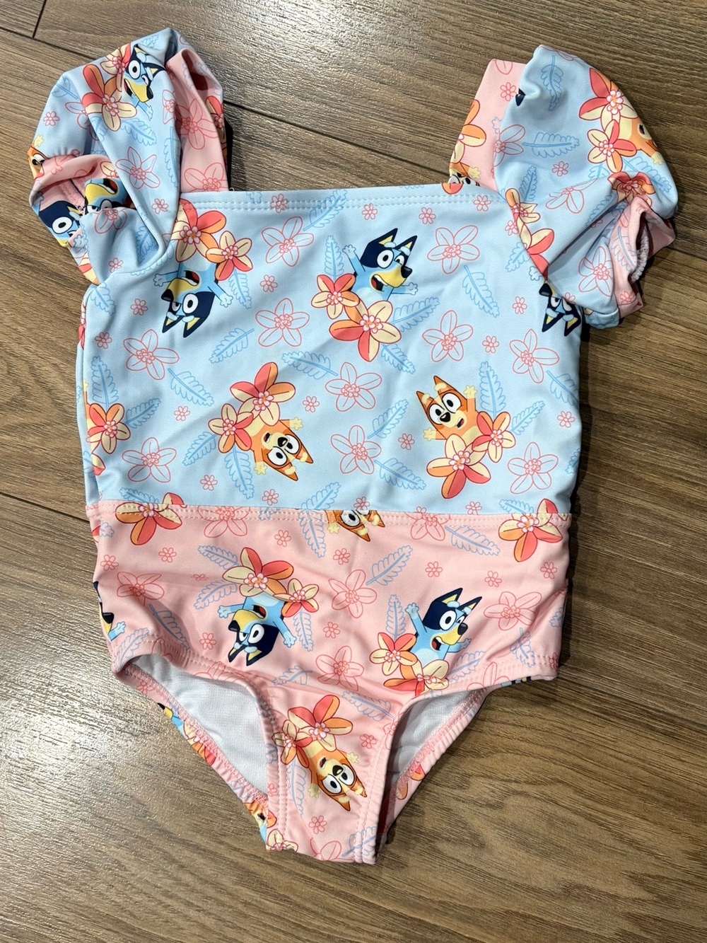 Bluey Themed Girls One-Piece Swimsuit in Blue & Pink